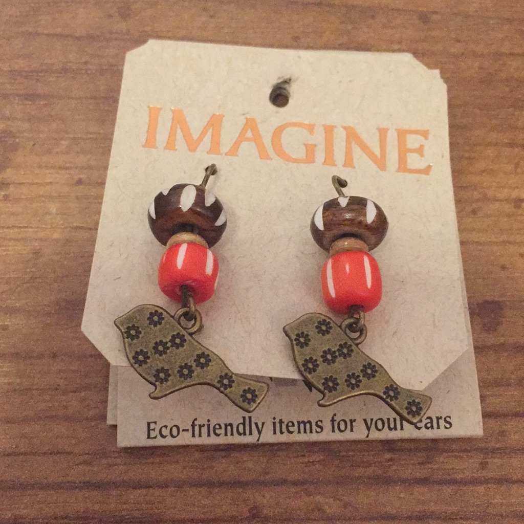 Imagine Earrings